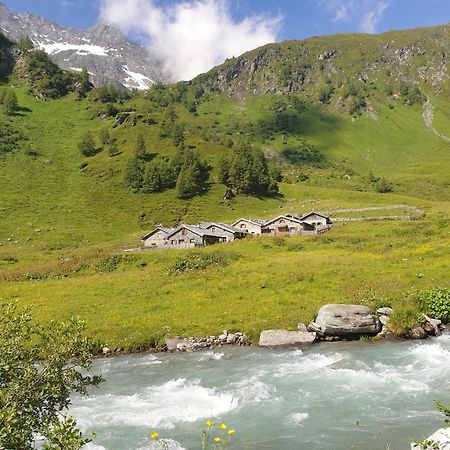 Gaestehaus Zedlacherhof Matrei in Osttirol Exteriér fotografie