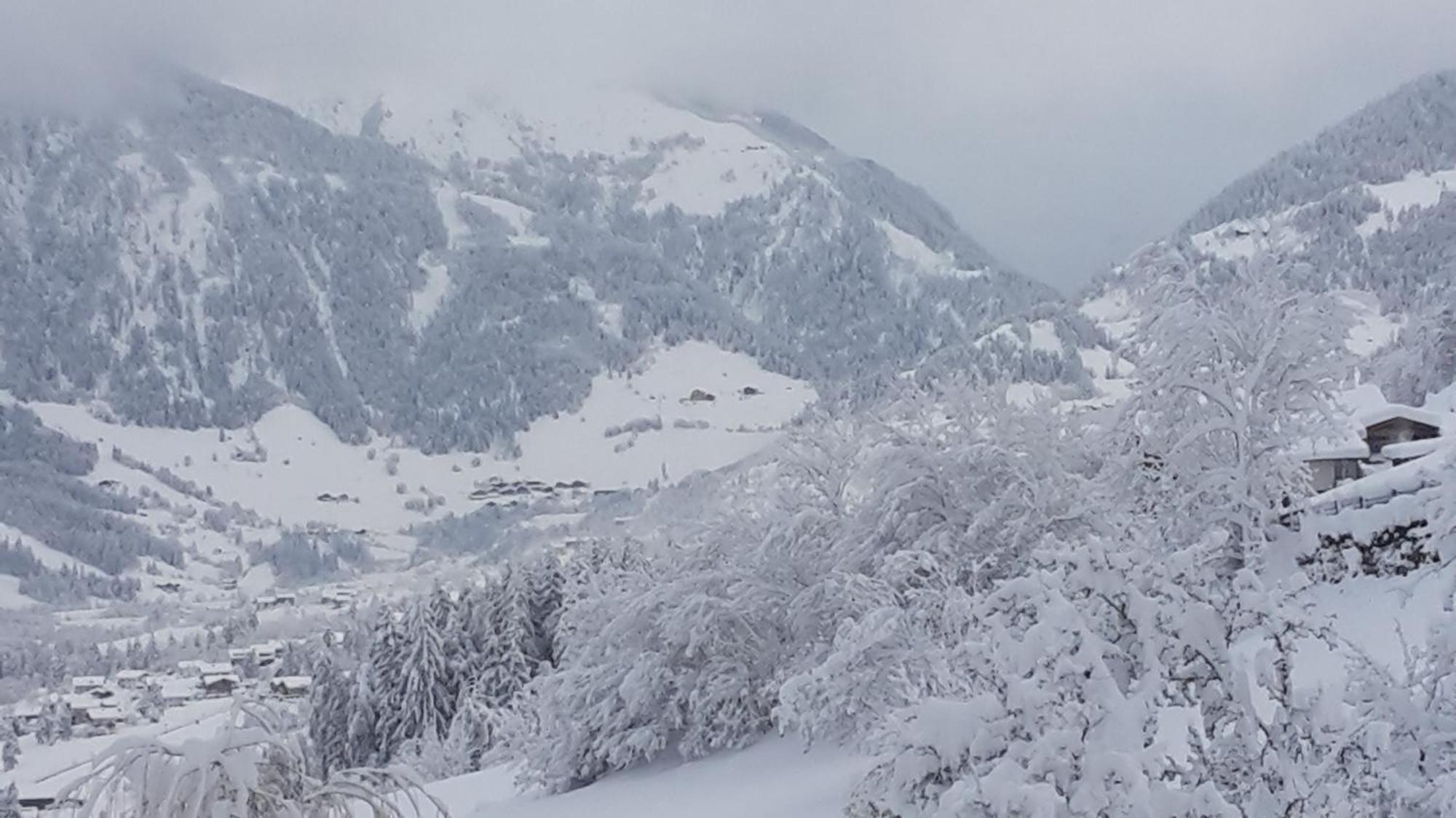 Gaestehaus Zedlacherhof Matrei in Osttirol Exteriér fotografie