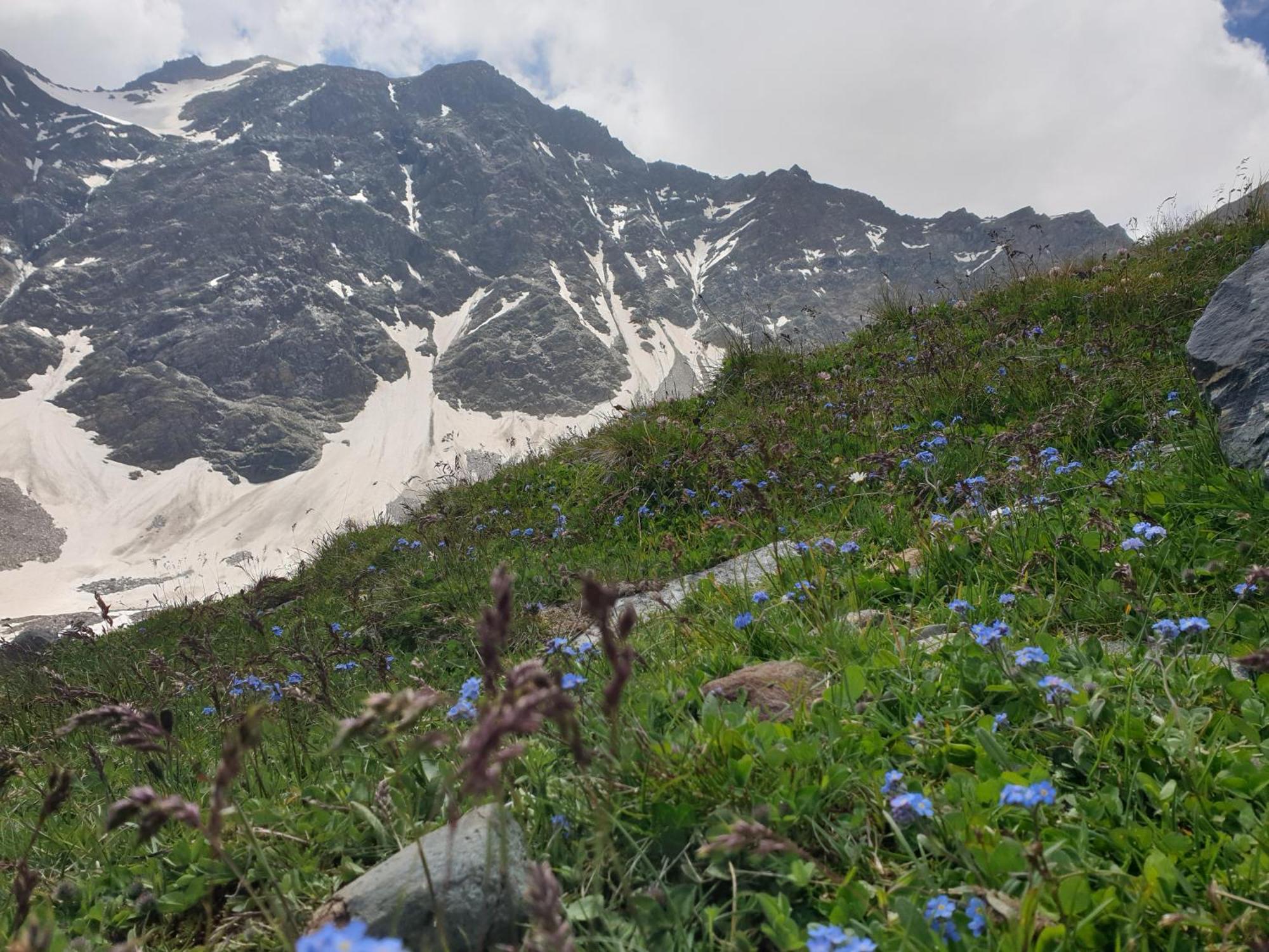 Gaestehaus Zedlacherhof Matrei in Osttirol Exteriér fotografie